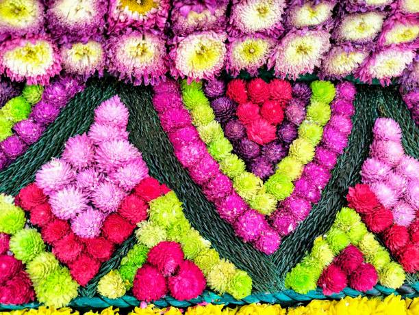 In the picture is the fresh flower decoration at the flower festival. There are pink carnations and amaranths dark color Green, light pink, dark pink, red There is a green rope used to divide the area