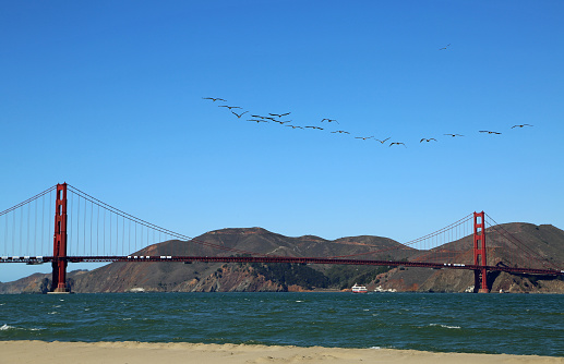 Landscape from Crissy Field East Beach in San Francisco, California