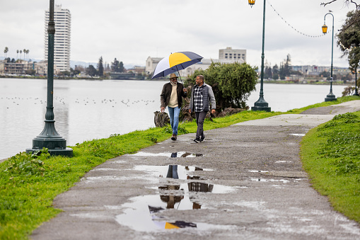Same-sex couple of African American decent taking a brisk walk by a lake on a rainy day.