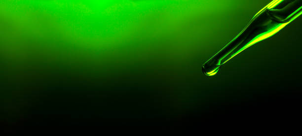 istock Macro green science experiment background,Lab glassware filled with clear transparent liquids on reflective surface against green background | Abstract science experiment concept 2019005066
