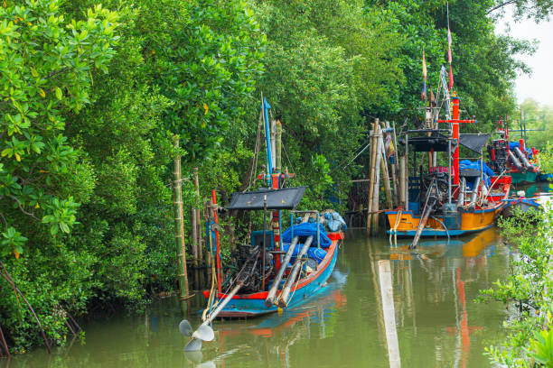 bosques de manglares y pequeños barcos de pesca en asia - rafting thailand river inflatable raft fotografías e imágenes de stock