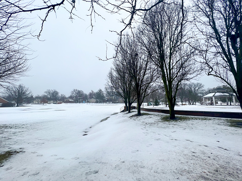 View of frozen lake in  Bois de la Cambre urban public park in Brussels, Belgium on February 10th, 2021.