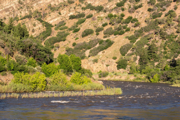 istock Colorado river in the Glenwood Canyon 2019057933