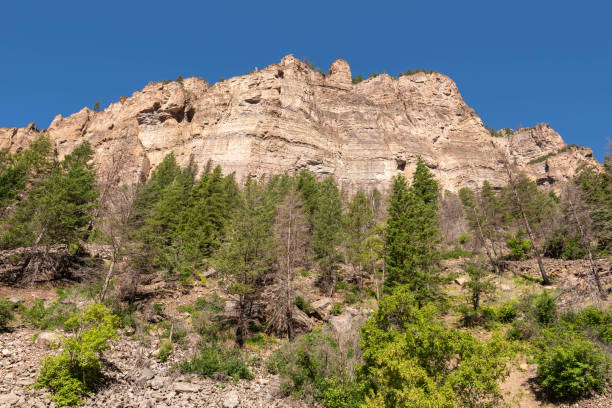 In a summer morning, cliffs viewed from the grizzly creek trail in the Glenwood Canyon, White River National Forest (Glenwood Springs, Colorado, United-States)