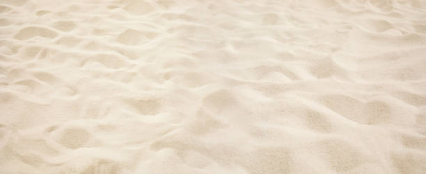 Selective focus of summer and holiday backgrounds concepts with landscape, white sand