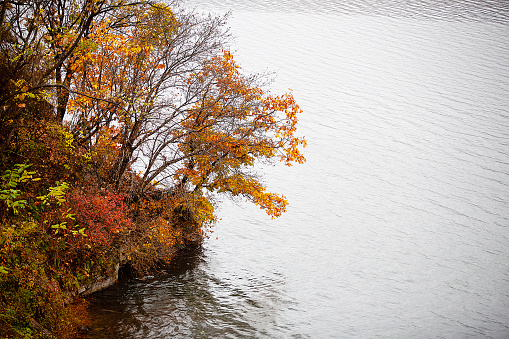 autumn riverside