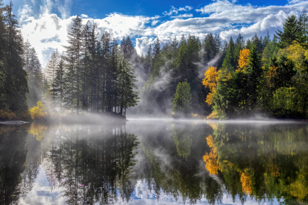 istock Rice Lake with fog, North Vancouver, BC, Canada 2019248653