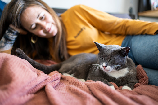 Woman smiling at her adorable gray cat lying asleep on a comfortable sofa at home