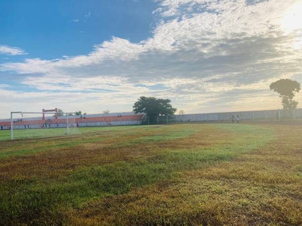 istock morning in the soccer field 2019347524