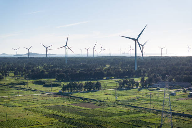 istock Wind power plant on a green farm 2019374056