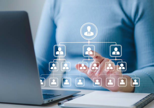 istock Business process and workflow automation with business hierarchical structure flowcharts. Business management organization in the company A relationship of command or subordination between members. 2019380266
