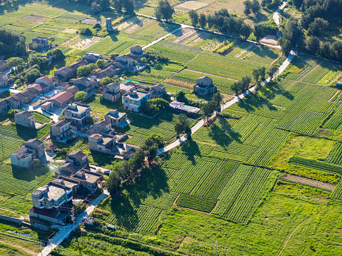 Aerial photography of the countryside in summer