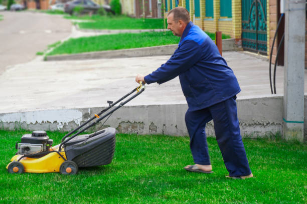 istock The man is working in the garden. Mowing grass with a lawn mower. 2019383897