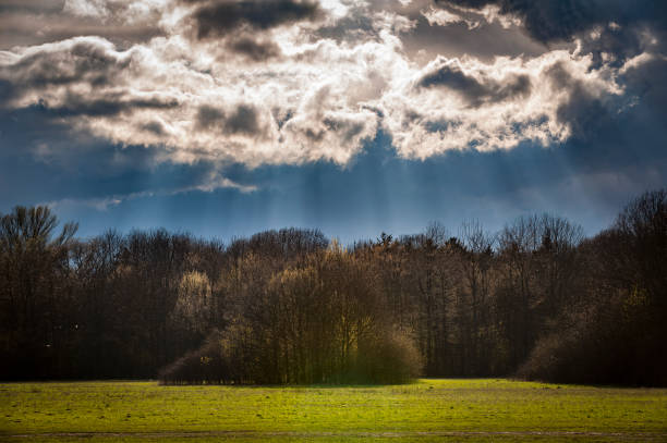Dramatically illuminated cloudy sky with sunbeams shining vertically downwards onto a wooded area with meadow