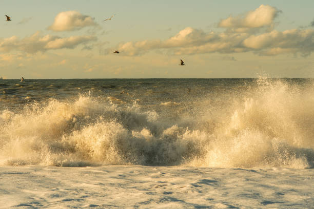 Seagulls flying over a stormy sea