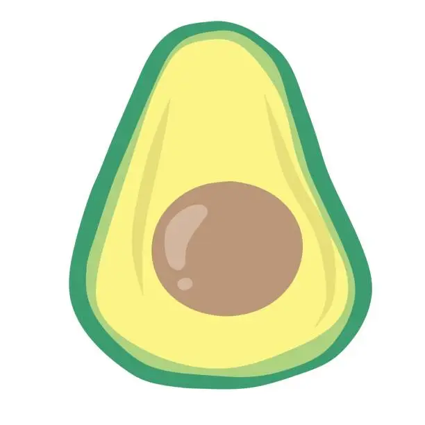 Vector illustration of Avocado Fruit Vector Illustration Image