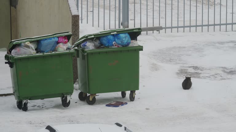 Overflowing garbage cans in winter, storage and collection of waste