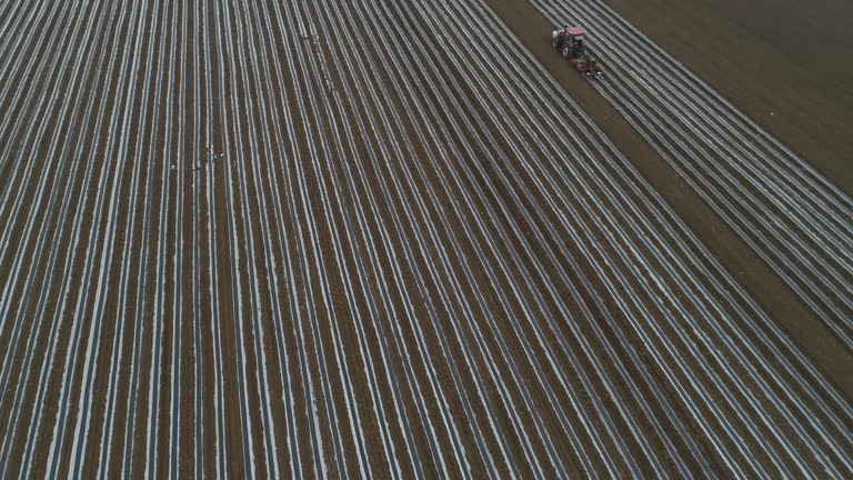 A farmer drives a planter to plant corn on a farm, aerial photo, North China