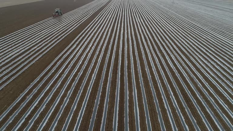 A farmer drives a planter to plant corn on a farm, aerial photo, North China