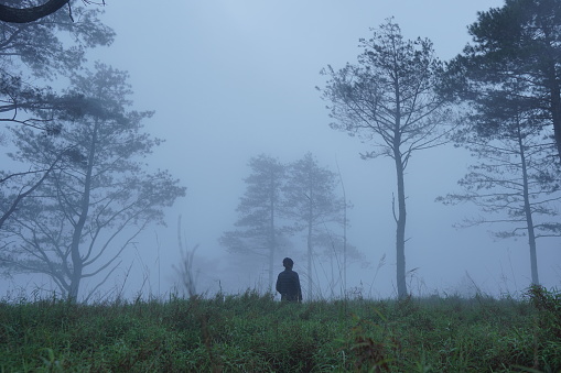 One person stood alone among the tall grass. Foggy morning atmosphere in the forest