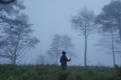 A person is standing looking at a cellphone among the tall grass. Foggy morning atmosphere in the forest
