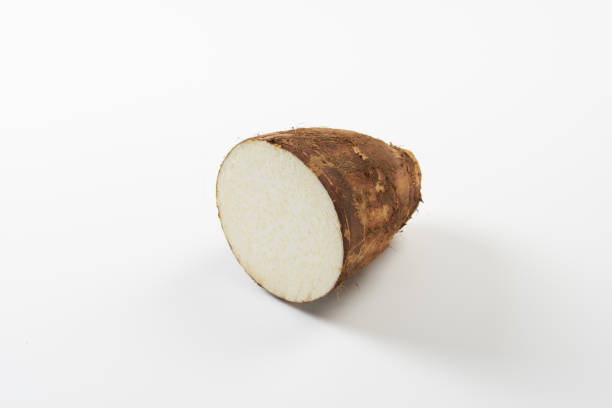 istock Image of Japanese bamboo shoots 2019448153