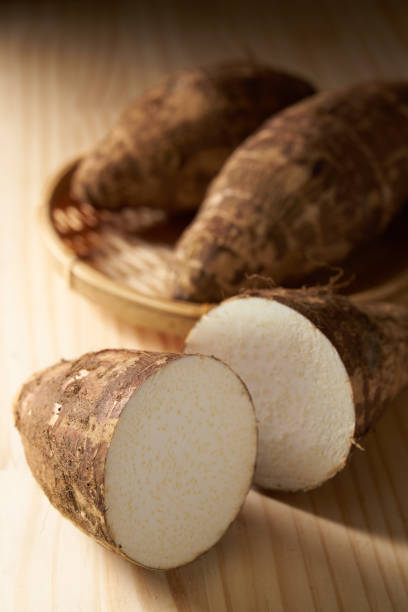 istock Image of Japanese bamboo shoots 2019448729