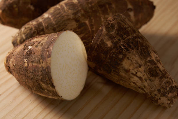 istock Image of Japanese bamboo shoots 2019450304