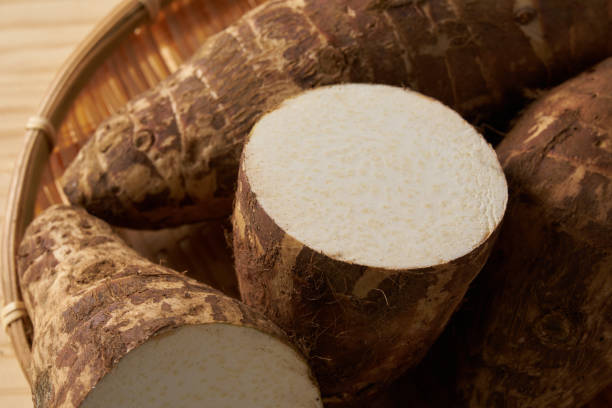istock Image of Japanese bamboo shoots 2019450822