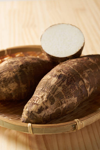 istock Image of Japanese bamboo shoots 2019451330