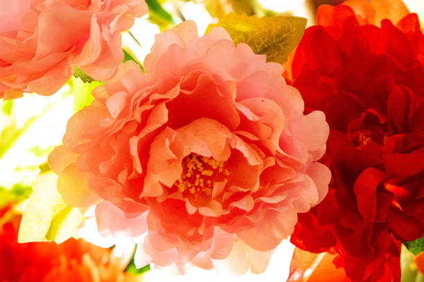 with red lanterns, flower, ornaments