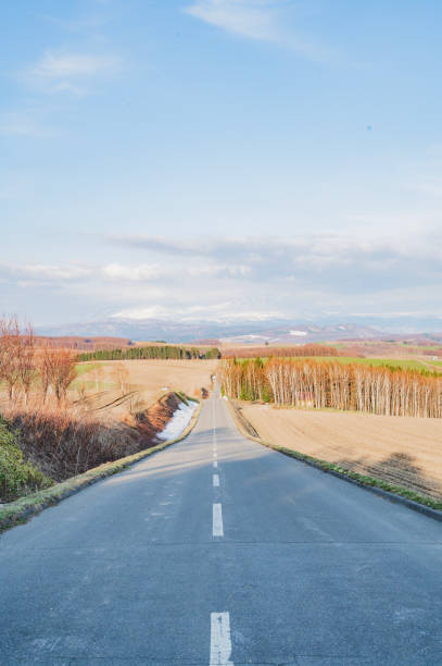 istock Pleasant road in Biei, Hokkaido 2019574744