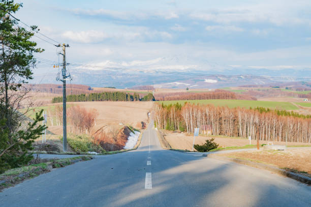 istock Pleasant road in Biei, Hokkaido 2019575246