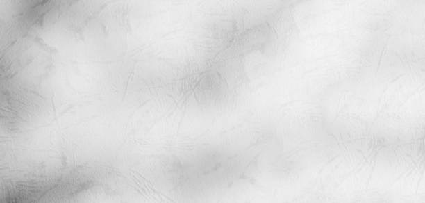 Shadow Background Abstract Leave Overlay Wall Floor Light Effect White Plant Sunlight Backdrop Mockup Minimal Spring Summer Nature Grey blur Photography Scene Template Poster Card Frame Product.