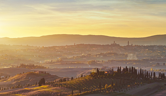 An enchanting autumnal Italian landscape unfolds with the picturesque silhouette of Siena visible in the distance, nestled amidst the rolling hills of Tuscany, Italy. In the foreground, a charming olive tree plantation captures the essence of rural life against the backdrop of vibrant fall colors painting the countryside