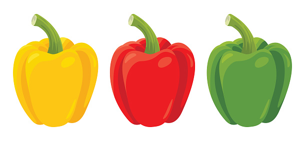 Set of bell peppers in different colors. Yellow, red and green fresh vegetable. Vector illustration in cartoon flat style. Food icon.