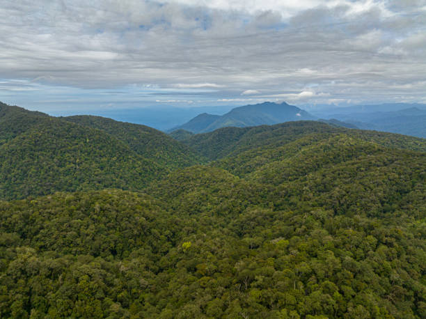 istock Tropical landscape with mountains. Sumatra, Indonesia. 2019681434