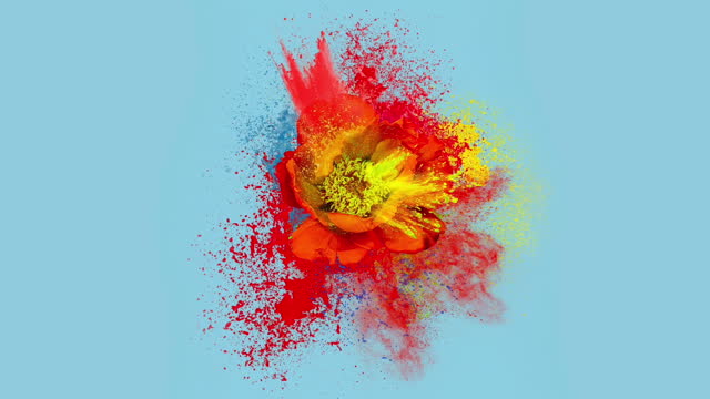 Abstract Explosion of peony flower