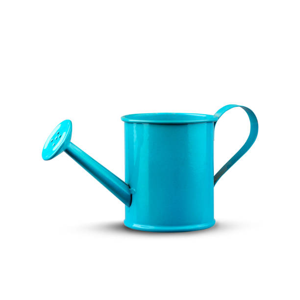 istock Blue metal watering can for flowers. Isolated on a white background. Design object. 2019692255