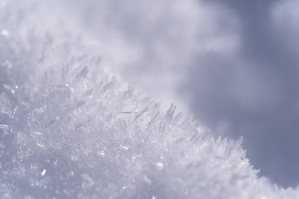istock Photographing fallen snow with a macro lens 2019757119