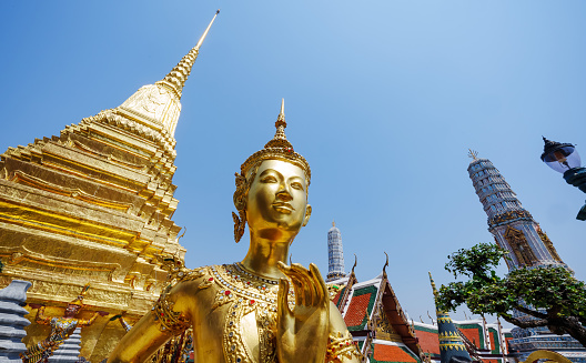 Wide angle Kinnaree in Wat Phra Kaew. Here are the main tourist attractions in Bangkok, Thailand.