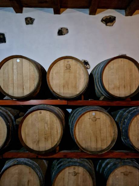 istock Oak wine barrels in wine cellar of vineyard 2019765161