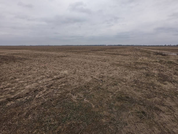 istock Farmland on a cloudy evening. Overcast. Landscape. 2019784255