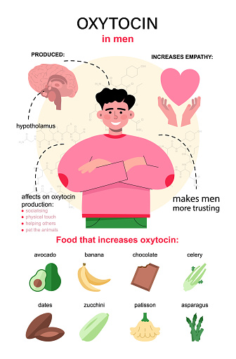 Oxytocin hormone infographics. Chemical strucuture affect on male body and emotions. List of products that contribute to production of oxytocin. Flat vector illustration
