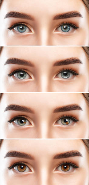 istock Beautiful woman with long eyelashes, beautiful make-up and thick eyebrows. Looking at the camera. She has different eye colors. Colored contact lenses. 2019794650