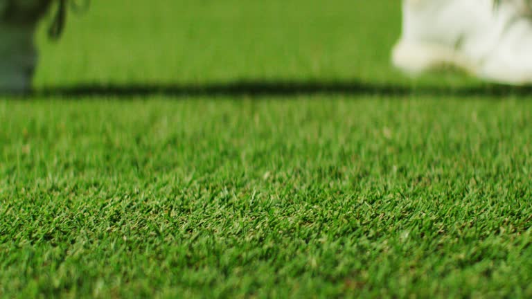 Golf Player hitting the Golf Ball on the grass