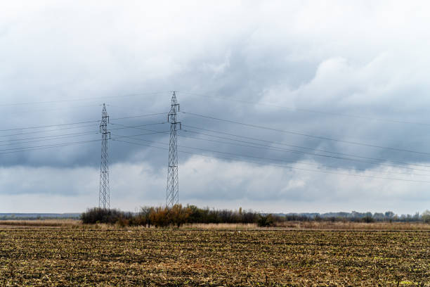 Power lines elegantly blend into the agricultural landscape, showing how technology can contribute to rural development.