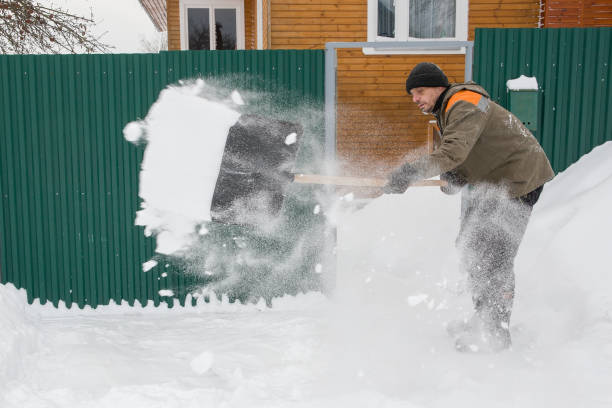 istock a man removes fallen snow 2019903460