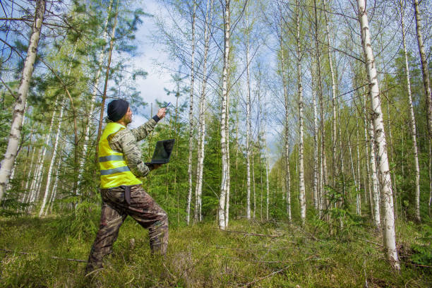 istock A male ecologist works in a young forest 2019905059