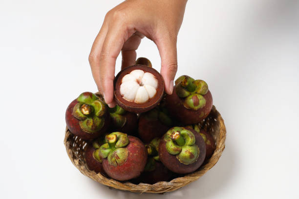 Asian woman holding Mangosteen isolated on white background.